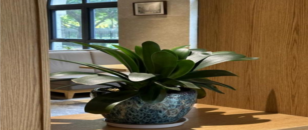 炎炎夏日送清凉，后勤服务暖人心